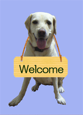 welcome 愛犬ナナ